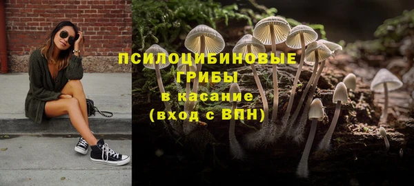 мяу мяу мука Бугульма