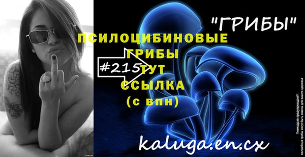 прущая мука Бородино