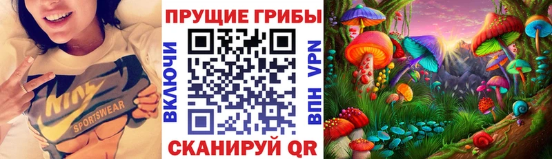 купить  сайты  Дубна  Галлюциногенные грибы мицелий 